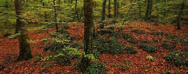 Recorridos fantasticos